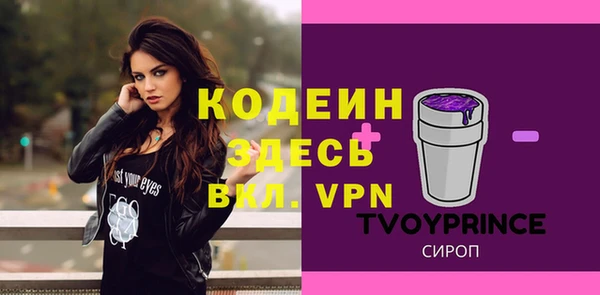 крисы Верхний Тагил