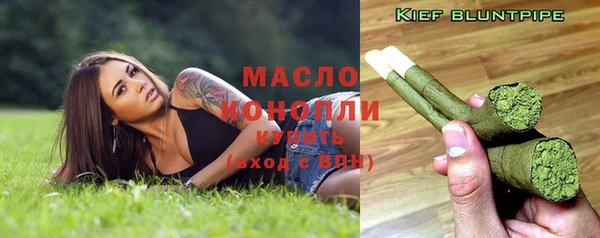 крисы Верхний Тагил
